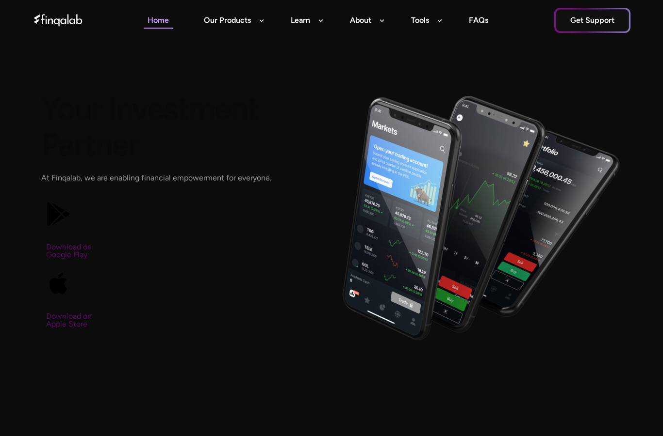Screenshot of the Finqalab website